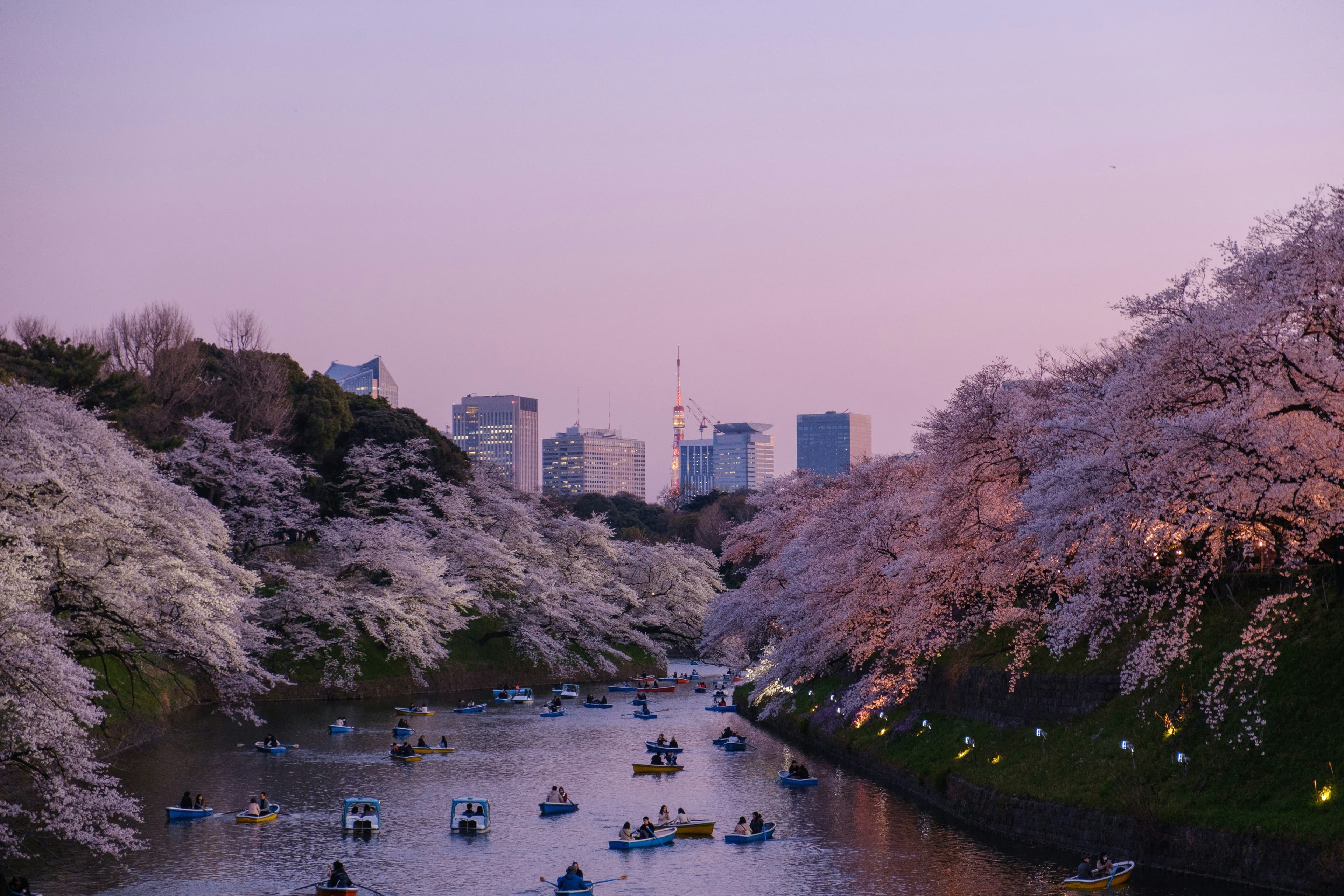 Japan Journeys