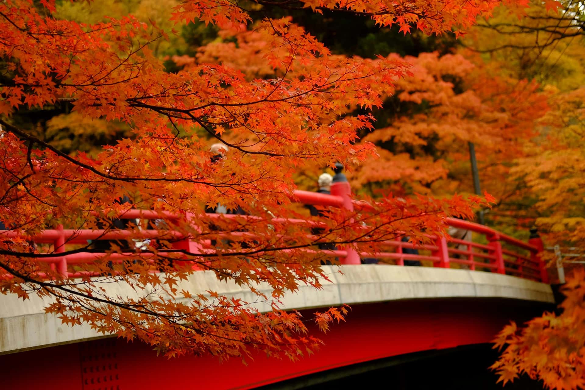 Weather Japan Group Tours