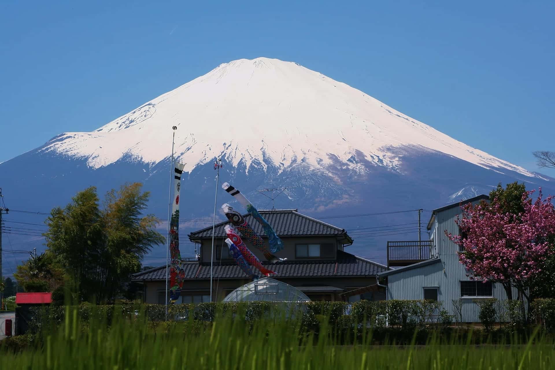 Winter Northern Japan Discovery Route gallery image 3