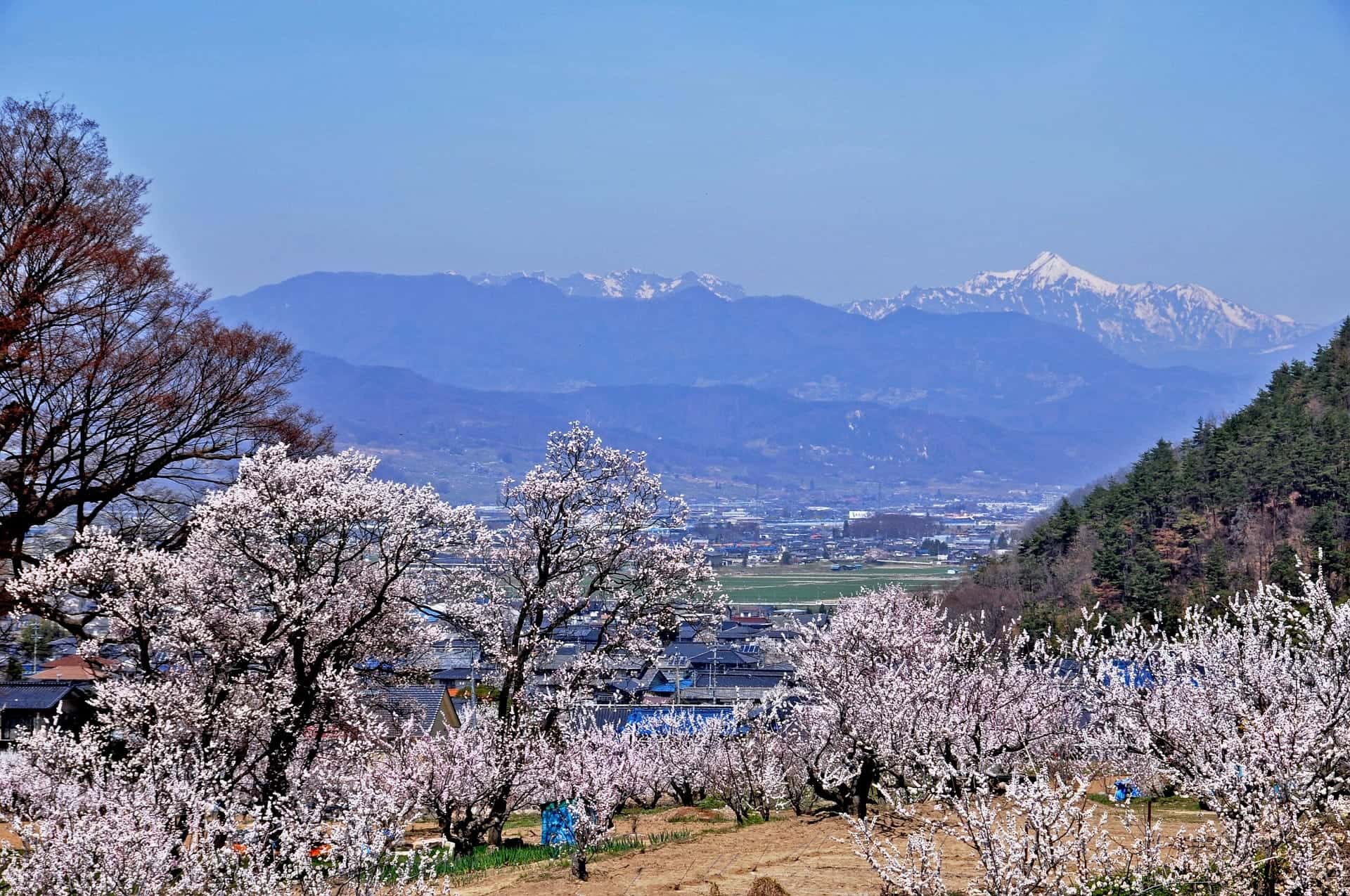 Japan Geography