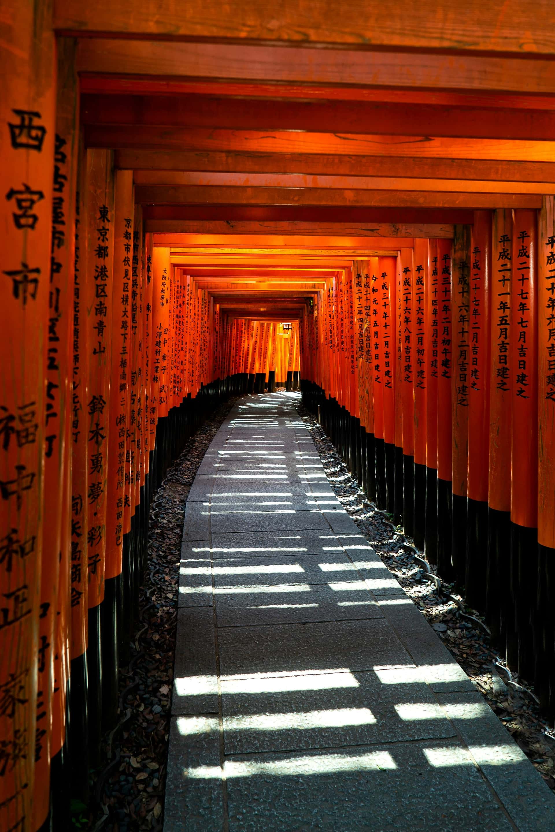 Best Of Japan, The Golden Route