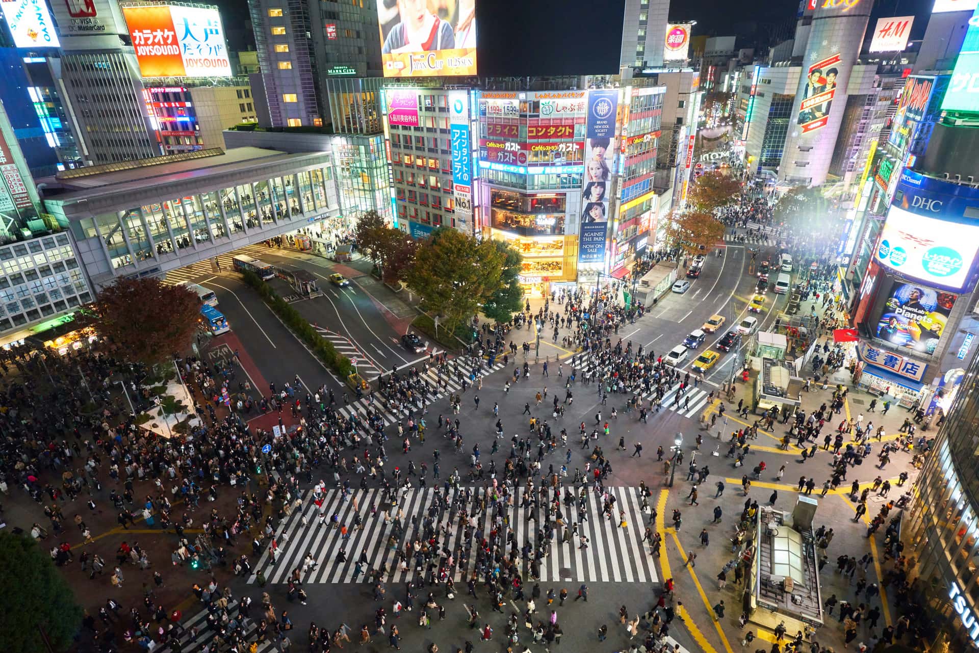 Fun-Filled Family Highlights Of Japan