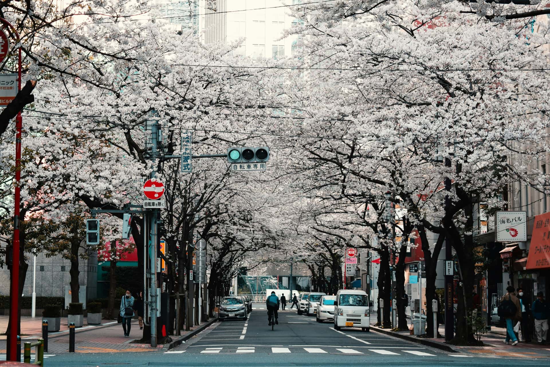 Enthralling Japan Package