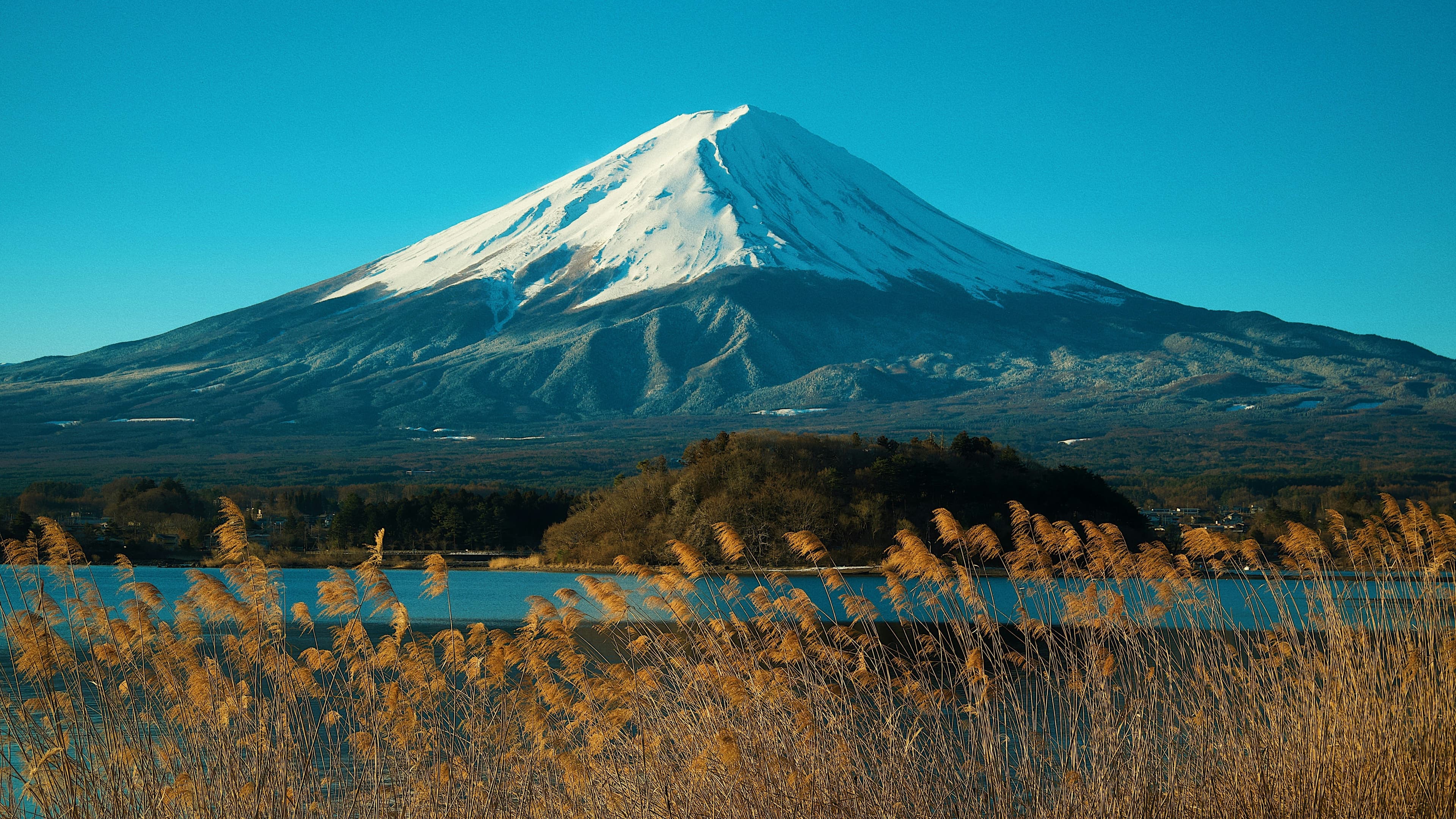 Golden Route, Japan gallery image 6