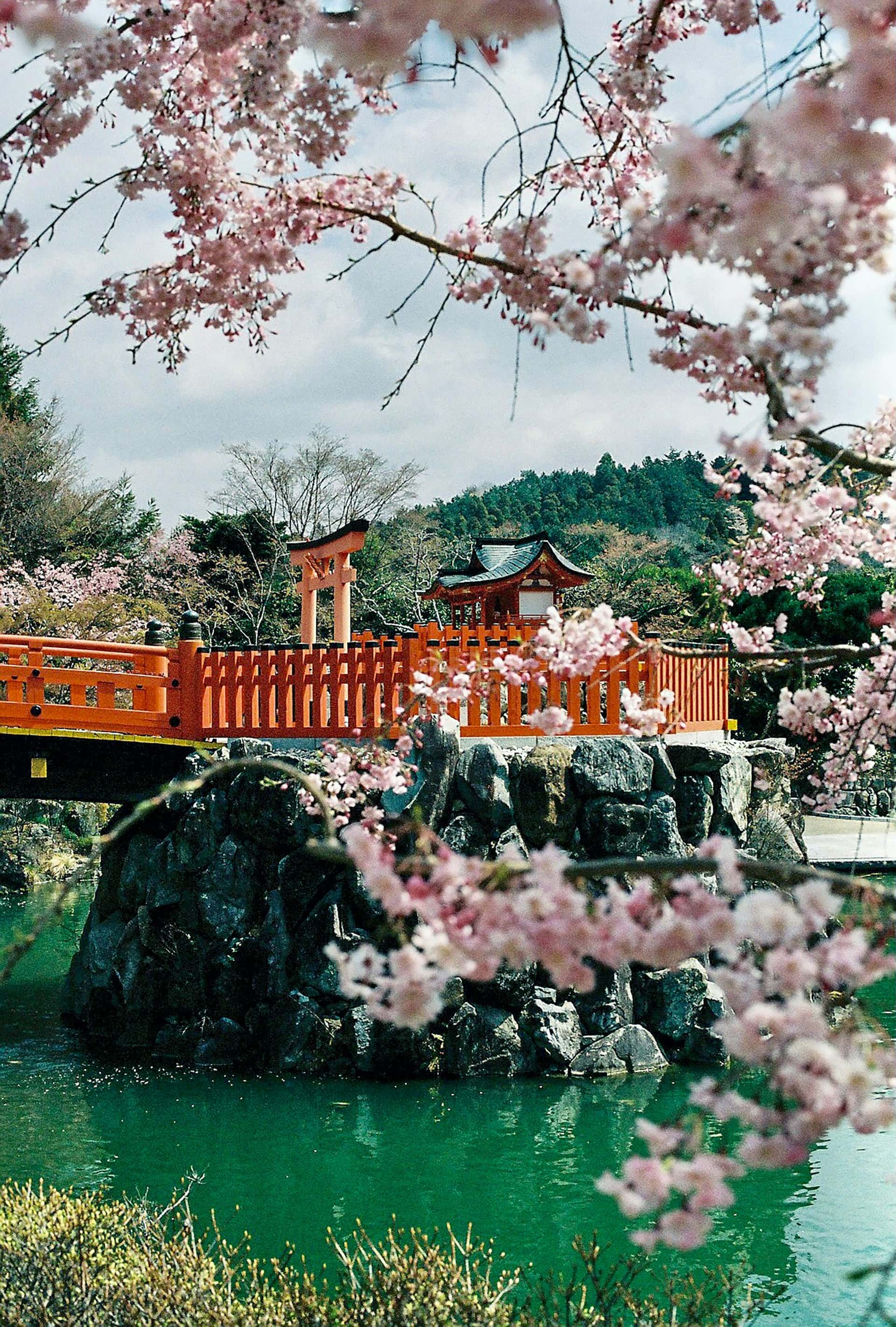 Golden Route, Japan gallery image 1